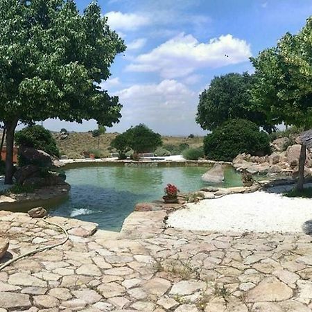 Villa Finca El Cerco A 5M De Puy Du Fou Y 10M A Casco Antiguo De Toledo Argés Exterior foto