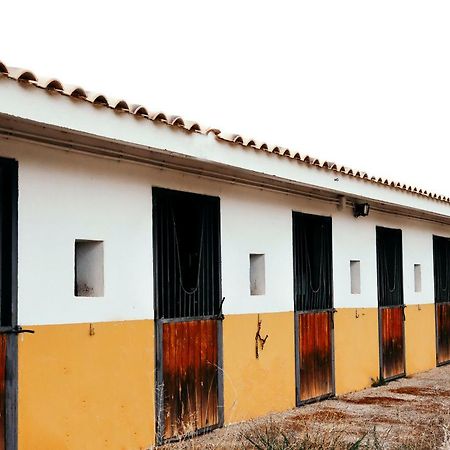 Villa Finca El Cerco A 5M De Puy Du Fou Y 10M A Casco Antiguo De Toledo Argés Exterior foto